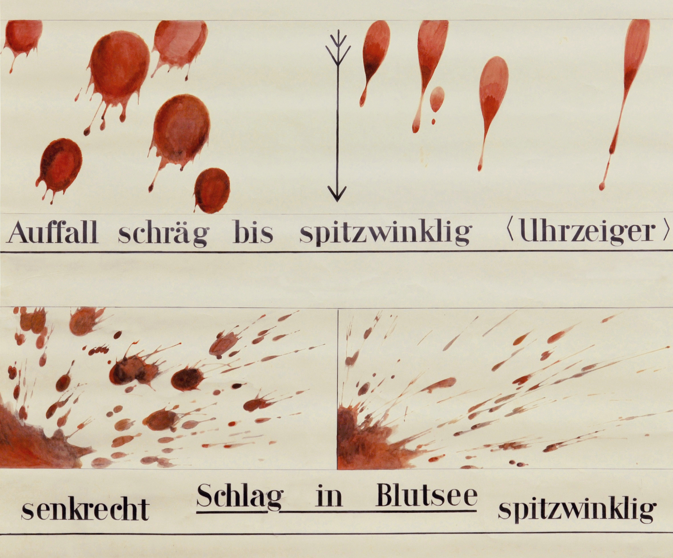 Martha Pfannenschmid, Lehrtafel © IRM Basel Martha Pfannenschmid, Lehrtafel © IRM Basel