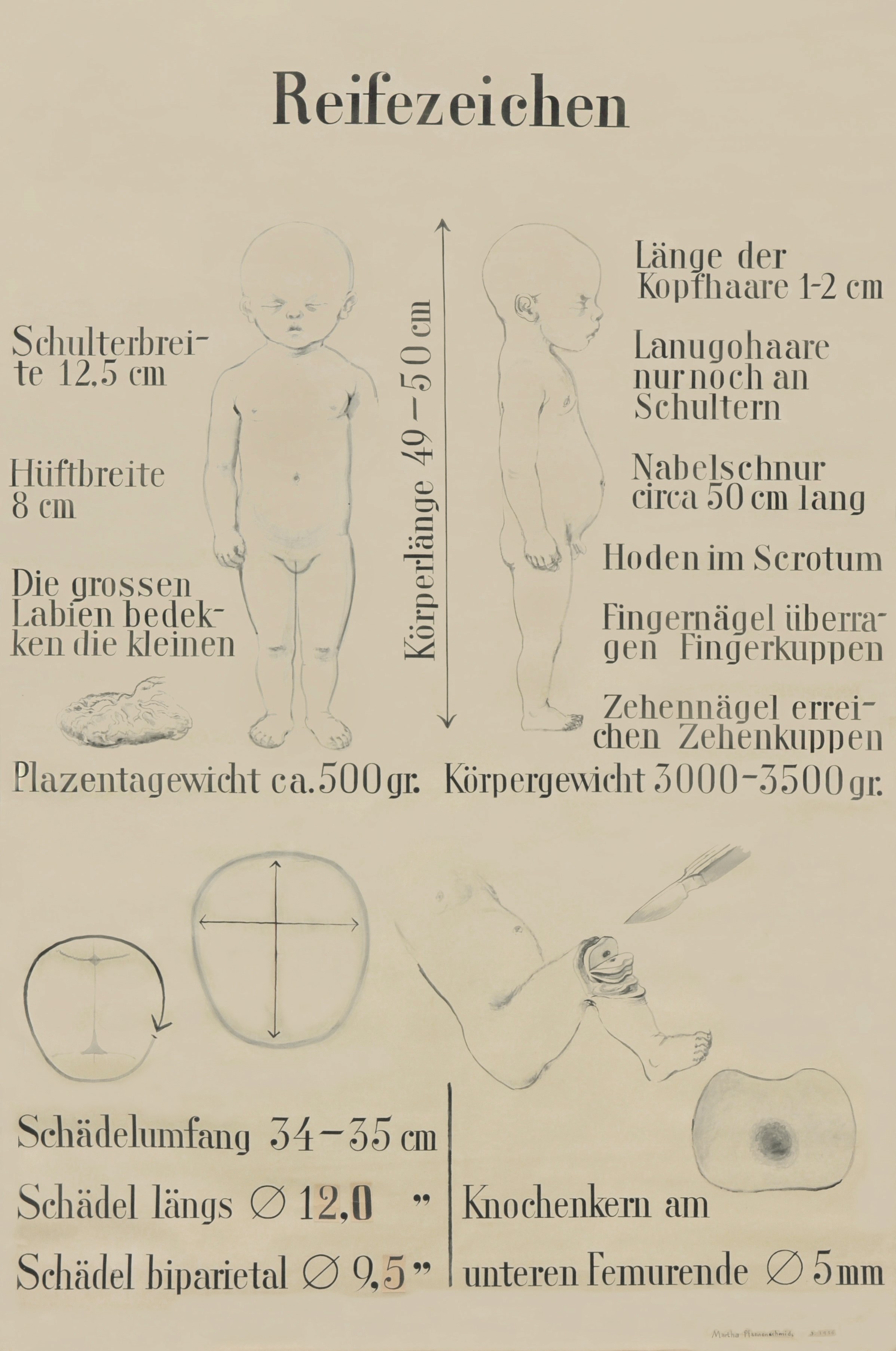 Martha Pfannenschmid, Lehrtafel &copy; IRM Basel