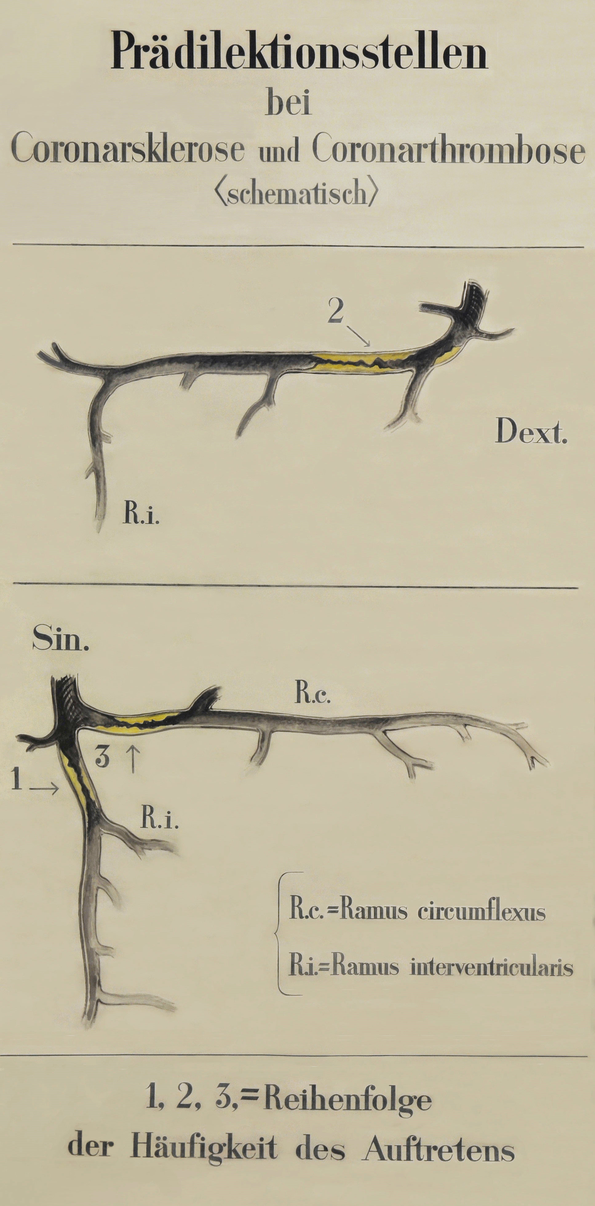 Martha Pfannenschmid, Lehrtafel &copy; IRM Basel