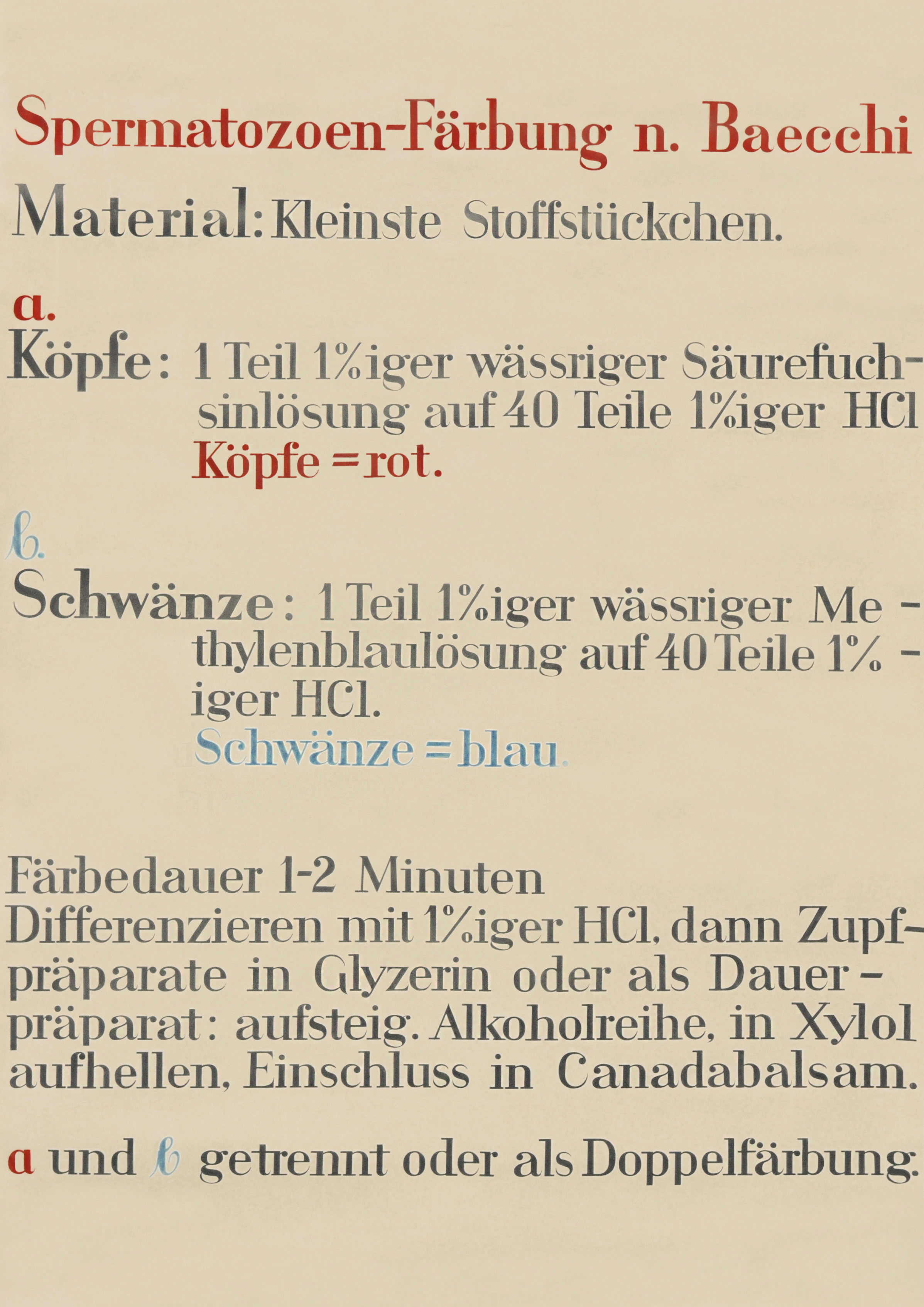 Martha Pfannenschmid, Lehrtafel © IRM Basel