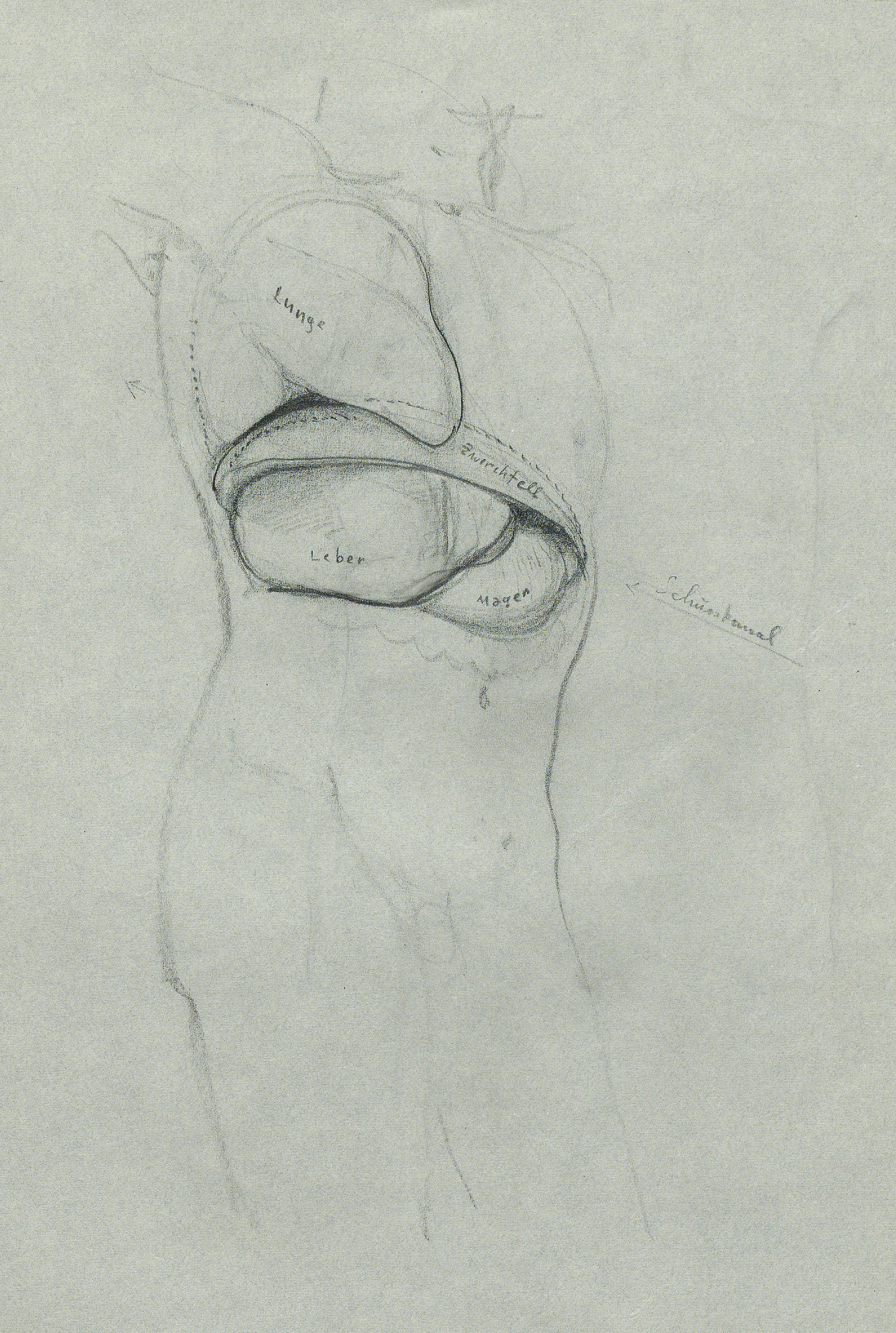 Martha Pfannenschmid, rechtsmedizinische Skizze, UB Basel, NL 283, D11 &copy; 2016, ProLitteris, Zurich